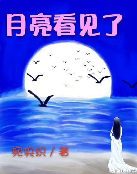 月亮看见了封面