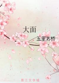 大面封面