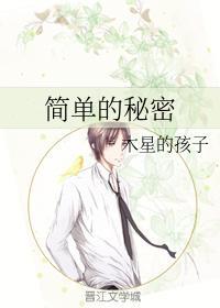 简单的秘密封面