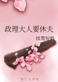 政理大人要休夫封面
