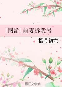 [网游]前妻拆我号封面