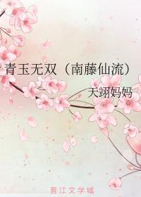 青玉无双封面