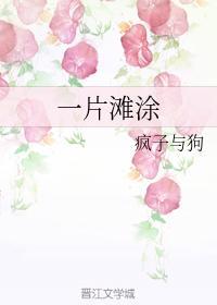 一片滩涂封面