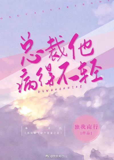 总裁他病得不轻封面