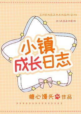 小镇成长日志封面