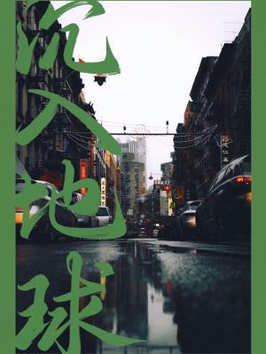 沈入地球封面