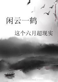 闲云一鹤封面
