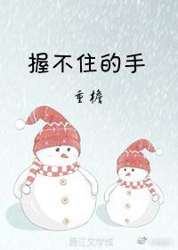 握不住的手封面
