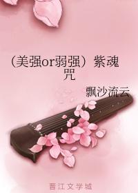 紫魂咒封面