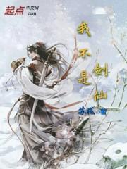 我不是剑仙封面