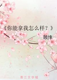 你能拿我怎么样？封面