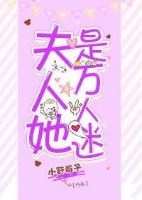 夫人她是万人迷封面