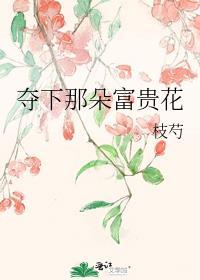 夺下那朵富贵花封面