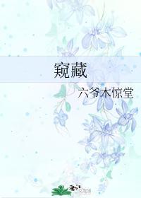 窥藏封面
