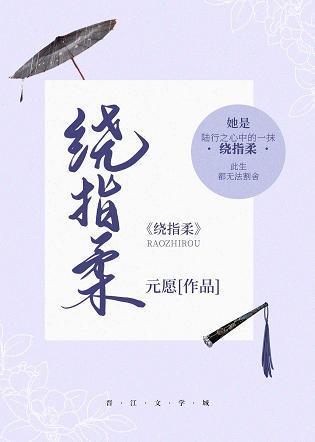 绕指柔封面