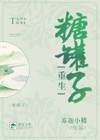 糖罐子[重生]封面