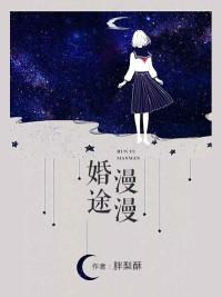 叶似锦沈锡铭封面