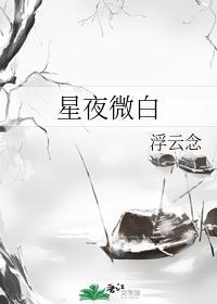 星夜微白封面