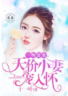 天价小妻宠入怀封面