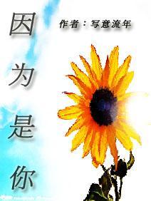 因为是你封面
