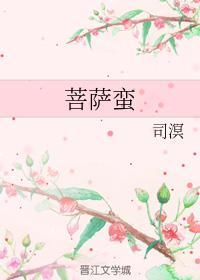 菩萨蛮封面