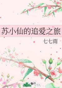 苏小仙的追爱之旅封面