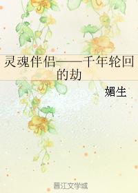 灵魂伴侣——千年轮回的劫封面