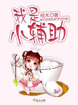 我是小辅助封面