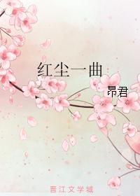 红尘一曲封面
