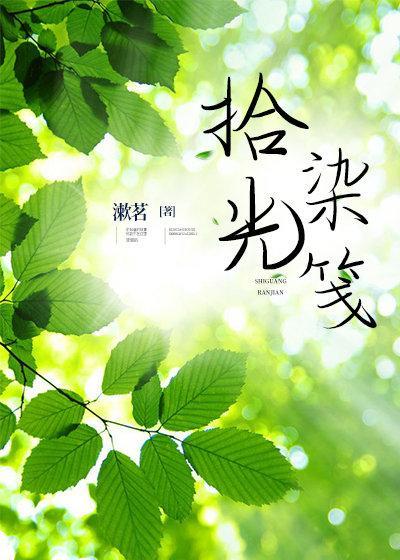 拾光染笺封面
