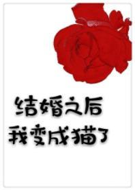 结婚之后我变成猫了封面