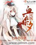风飘血染夕封面