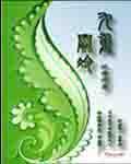 九重阙冷封面