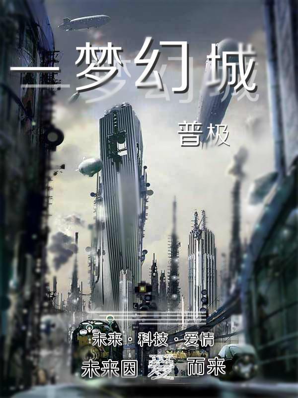 一梦幻城封面