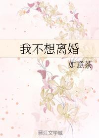 我不想离婚！封面