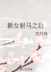 新女驸马之后封面