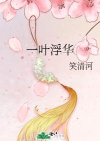 一叶浮华封面