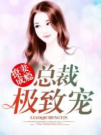撩妻成瘾：总裁极致宠封面