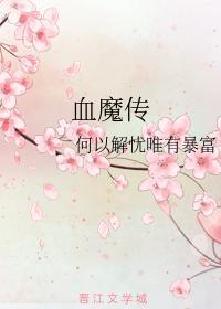 血魔传封面