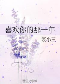 喜欢你的那一年封面