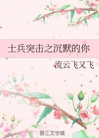 士兵突击之沈默的你封面