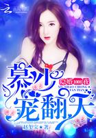 余生遥向晚封面