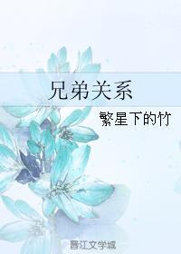 兄弟关系封面