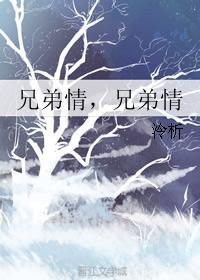 兄弟情，兄弟情封面