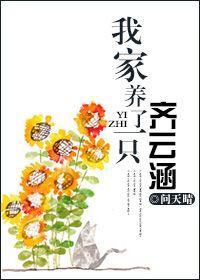 我家养了一只齐云涵封面
