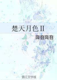 楚天月色Ⅱ封面