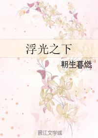 浮光之下封面