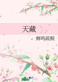 天藏封面