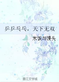 乒乒乓乓，天下无双封面