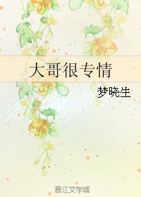 大哥很专情封面